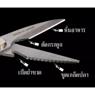 ✂ สินค้าใหม่ 🆕 119 กรรไกรสแตนเลส SK5 กรรไกรตัดเนื้อตัดอาหาร อุปกรณ์ทำอาหาร