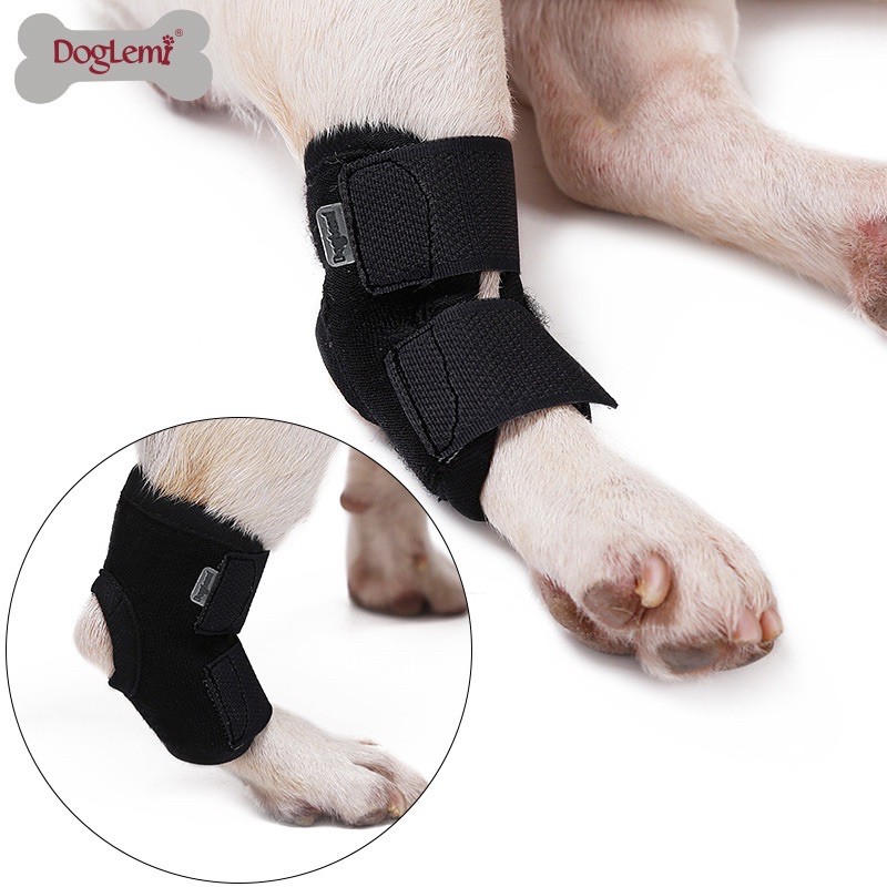 สายรัดข้อเท้าสุนัข สายรัดขาสุนัข แบบสั้น (Short Hock Brace) Doglemi [พร้อมส่ง] - รูปที่ 2