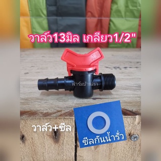 วาล์​ว13-16มิล เกลียว1/2" + ซีลกันน้ำรั่ว