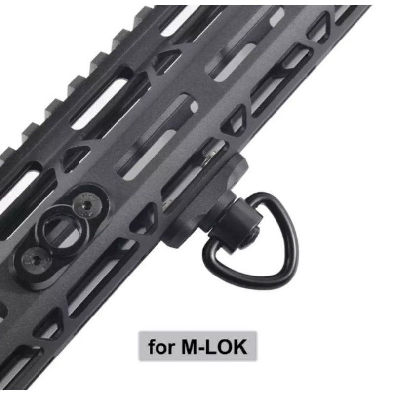 รูปภาพ 5