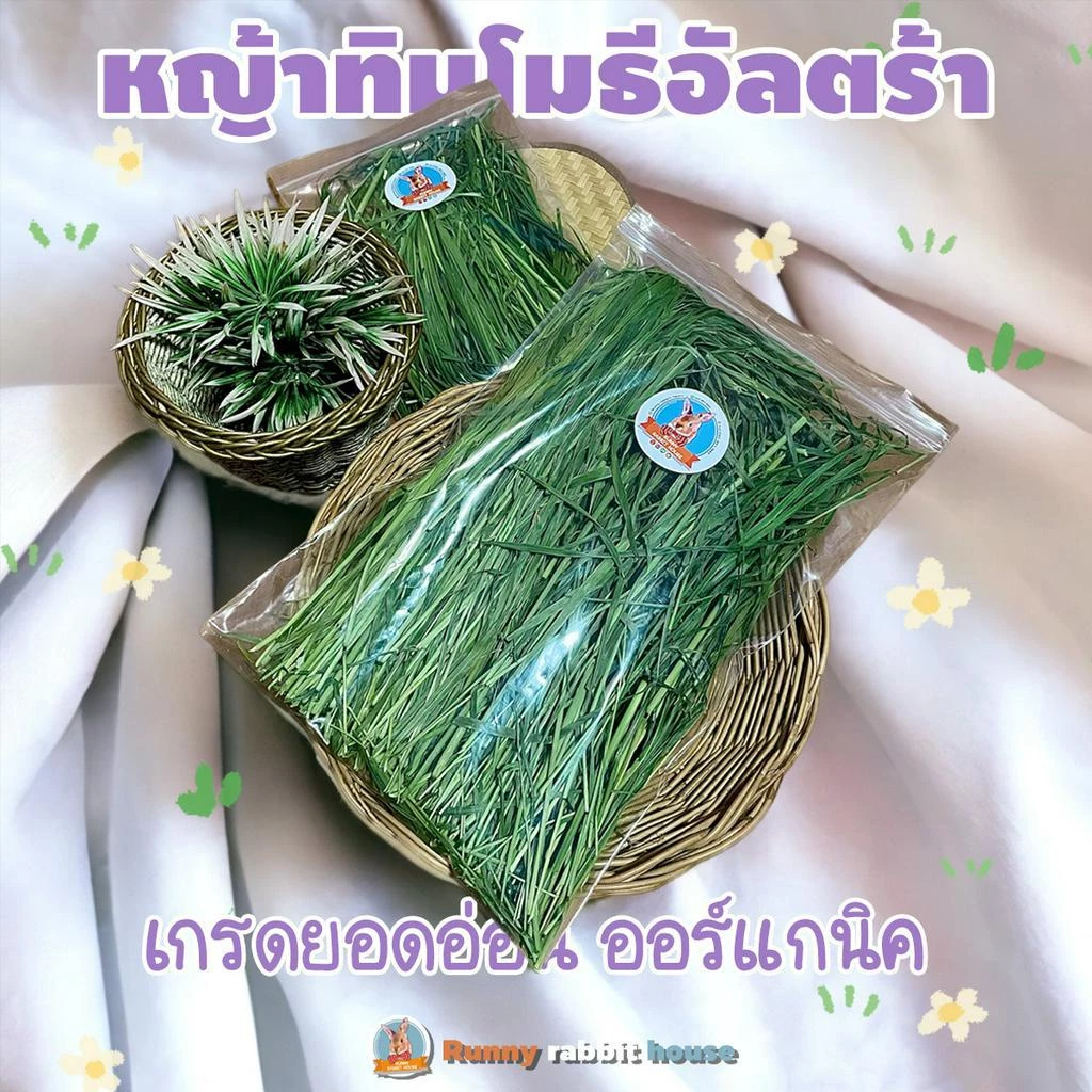 หญ้าทิมโมธีพรีเมี่ยมอบลมร้อน timothy เกรดยอดอ่อน มีไฟเบอร์วิตามิน สำหรับสัตว์ฟันแทะ กระต่าย แกสบี้ แพรี่ด็อก