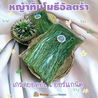 หญ้าทิมโมธีพรีเมี่ยมอบลมร้อน timothy เกรดยอดอ่อน มีไฟเบอร์วิ…