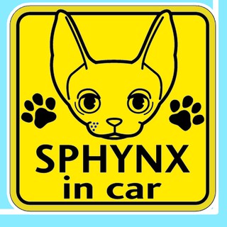 สติกเกอร์ จุ๊บติดกระจก แผ่นแม่เหล็กติดรถยนตร์ สติกเกอร์แมว sphynx cat AD22
