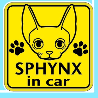 สติกเกอร์ จุ๊บติดกระจก แผ่นแม่เหล็กติดรถยนตร์ สติกเกอร์แมว sphynx cat AD22