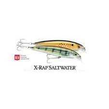 RAPALA X-RAP SALTWATER SXR 10 SUSPENDING LURE