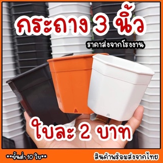 กระถางแปดเหลี่ยม  3 นิ้ว พร้อมส่งจากไทย กระถางพลาสติก กระถางแคคตัส