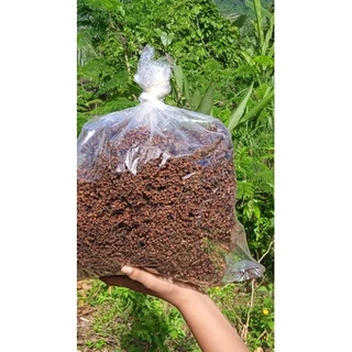 มะแขว่นหอมตากแห้งแบบติดก้าน500กรัม,เครื่องเทศเกรดส่งออก,เก็บใหม่ปีนี้ เริ่มเก็บ20ตุลาคม2568รับประกันสดใหม่,กลิ่นหอมมาก