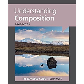 Understanding Composition : The Expanded Guide: Techniques (RFC Paperback + CR) หนังสือภาษาอังกฤษมือ1(New) ส่งจากไทย