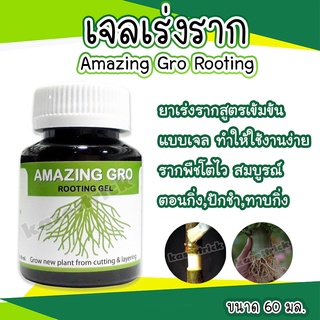 เจลเร่งราก 60 มล. Amazing Gro Rooting Gel ใช้ได้ทันทีไม่ต้องผสมน้ำ