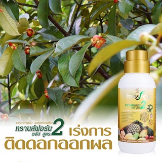 ของแท้❗TRANSFORM PLUS 2 ทรานส์ฟอร์ม พลัส อาหารเสริมพืช 2 ขวดสีเหลือง 1ลิตร/100มล ผลดก แตกดอก ออกผล ขยายขนาด รสชาติอร่อย