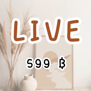 LIVE📍ราคา 599 บาท กดตรงนี้