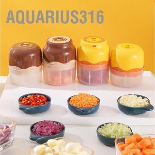 Aquarius316 เครื่องบดกระเทียมไฟฟ้า ขนาดเล็ก ถอดออกได้ แฟชั่น สําหรับห้องครัว