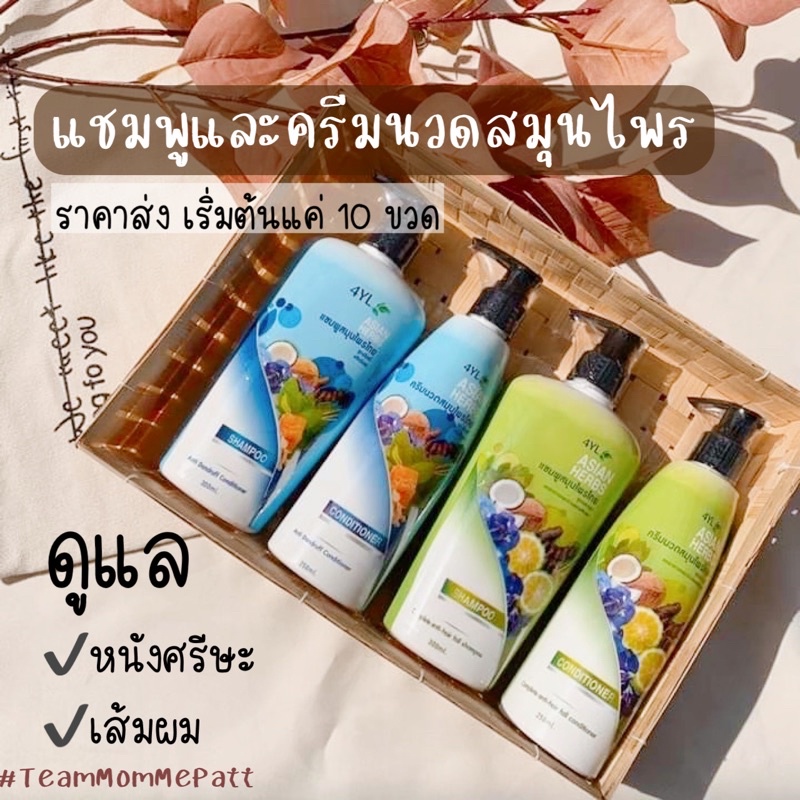 พร้อมส่ง แชมพูลดผมร่วง บาง สูตรสมุนไพร สำหรับทุกวัย ผู้ใหญ่ เด็ก ผมบาง หนังศรีษะแห้งหรือมัน คัน มีแผล มีรังแค 4YLของแท้