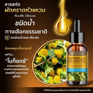 (สินค้ามีพร้อมส่ง) ผักคราดหัวแหวน Acmella Oleracea Extracted High Concentration 环耙  เข้มข้นสูง ชนิดน้ำ ขนาด 25 มล.