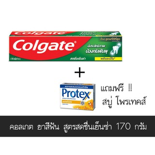 ถูกที่สุด✅  คอลเกต ยาสีฟัน ป้องกันฟันผุ สูตรสดชื่นเย็นซ่า ขนาด 170 กรัม แถมฟรี สบู่ โพรเทคส์ ส่งเร็ว🚛💨