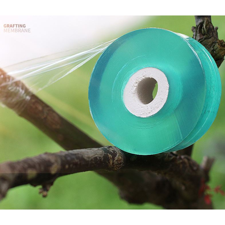 เทปพันกิ่ง Grafting tape เทปใสพันกิ่ง ติดตา ต่อกิ่ง เหนียวไม่มีกาว ยืดได้ ฟิล์มพันกิ่ง ยาว 100 เมตร