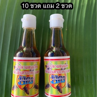 น้ำปลาแมงดาตราวิจิตร ชุด 10 ขวด แถม 2 ขวด รวม 12 ขวด