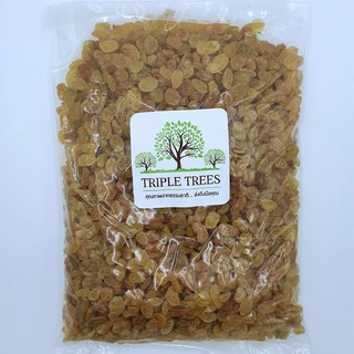 ลูกเกดสีเหลือง Golden Raisin By Triple Trees