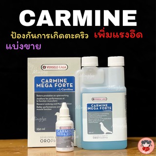 Carmine(คาร์มีน)ป้องกันการเกิดตะคริว เสริมแรงอึด ฟื้นฟูร่างกาย แข่งขาย10,30ml