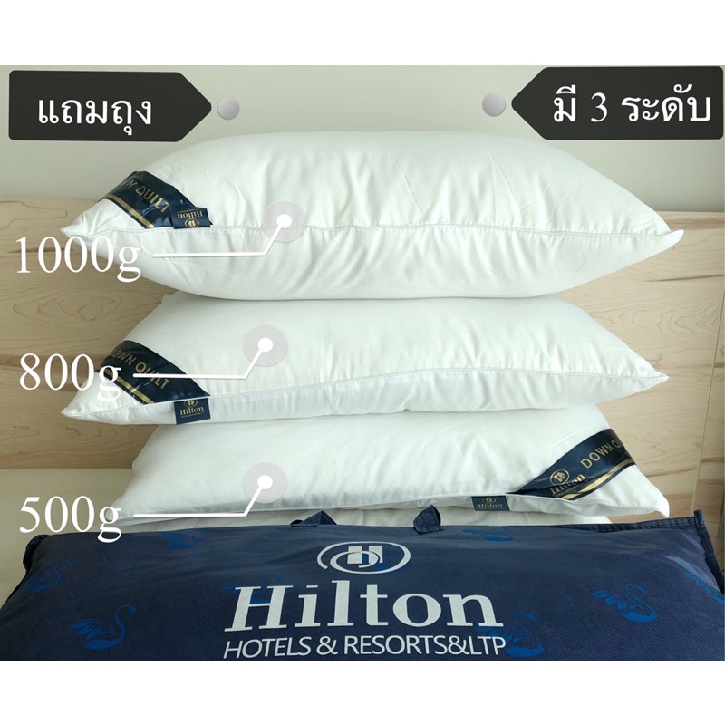 Ready Stock หมอน Hilton เกรดโรงแรม มี 3 ระดับ หมอนหนุนเพื่อสุขภาพ หมอนผ้าฝ้ายแท้ หมอนหนุนสุขภาพโรงแร