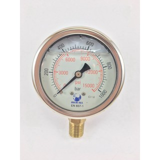 เกจแรงดัน0-1000Bar หน้าปัด 2.1/2