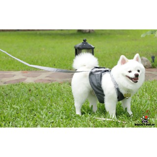 Pet cloths -Doggydolly ชุดเสื้อสายจูง ชุดรัดอก  เสื้อผ้าแฟชั่น เสื้อผ้าสัตว์เลี้ยง เสื้อผ้าหมาแมว ชุดจูง DCL148