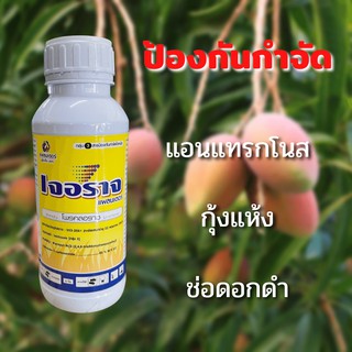 เจอราจ บ.แพลนเตอร์ โพรคลอราซ 45% ตัวทำลาย สูตรเฉพาะกลิ่นไม่ฉุน ไม่รัด นวลไม่เสีย ขนาด 1 ลิตร