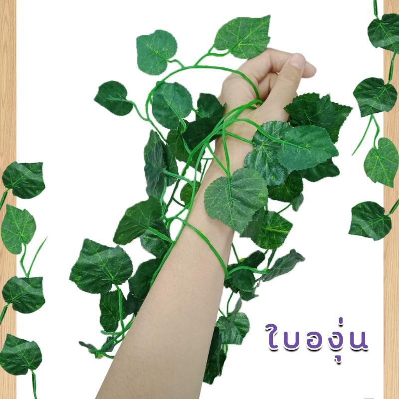 My Image 34