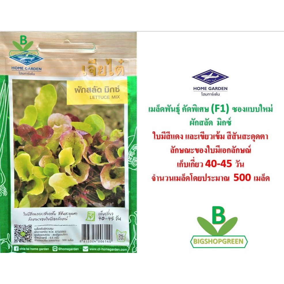 5 ฟรี 1 คละได้ เมล็ดพันธุ์ ผักสลัดมิกซ์ ตราเจียไต๋ เมล็ดพันธุ์ คัดพิเศษ F1 เมล็ดผัก เมล็ดพันธุ์พืช เมล็ดพืช