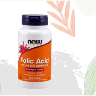 Folic Acid 800 Mcg 250 เม็ด โฟลิค(โฟเลต)