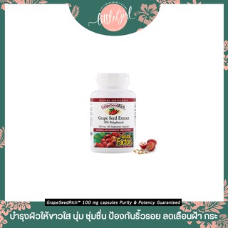 (พร้อมส่ง) สารสกัดจากเมล็ดองุ่น Natural Factors Grape Seed Extract 95% Polyphenols 100 mg 60 Vetegarian Capsules