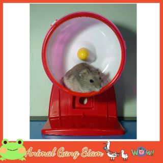 ลู่วิ่งหนูแฮมเตอร์ พร้อมฐานตั้ง hamster silent wheel good exercise for hamster