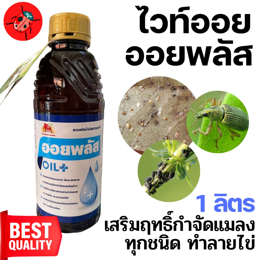 [แมมมอธ] ออยพลัส white oil ไวท์ออย เสริม กำจัดเพลี้ยหอย สารสกัดน้ำมันธรรมชาติเสริมประสิทธิภาพ-ขนาด 1 ลิตร