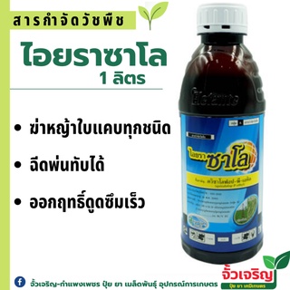 ไอยราซาโล 1ลิตร ควิซาโลฟอป-พี-เอทิล กำจัดหญ้าใบแคบทุกชนิด ไร่มันสัมปหลัง ไร่ผัก ออกฤทธิ์ดูดซึมเร็ว