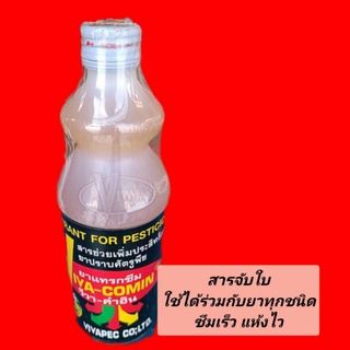 สารจับใบวีวา-คำอิน ซึมเร็วแห้งไวใช้ได้กับยาทุกชนิด