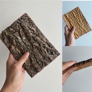 เปลือกไม้ ไม้คอร์ก Cork Bark จากธรรมชาติตกแต่งตู้เลี้ยงสัตว์ สำหรับ กบ​ งู​​ ตะขาบ​​ เก๊กโค​ แมงมุม Isopod