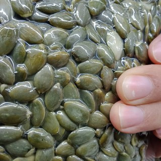 เมล็ดฟักทองดิบ ขนาด 1,000 กรัม เมล็ดฟักทองดิบ 1 kg (Pumpkin Seed)