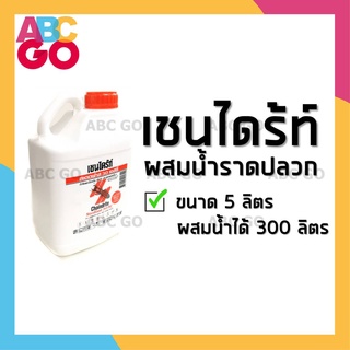 เชนไดร้ท์ เชนไดรท์ ยาราดปลวก ยาฉีดปลวก ยากำจัดปลวก 5 ลิตร - Chaindrite Anti-Pest 5 Liters