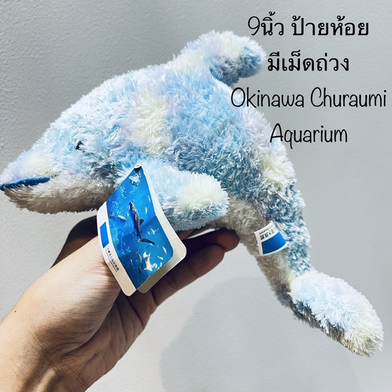 #ตุ๊กตา #ปลาโลมา #dolphin #ขนาด9นิ้ว #ป้ายห้อย #Okinawa #Churaumi #Aquarium #ขนสวยเงา #ลิขสิทธิ์แท้ 