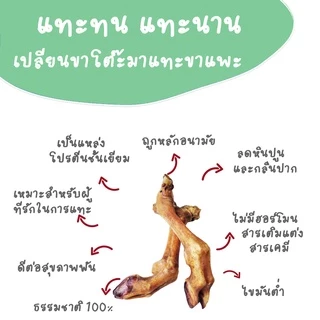 ขัดฟันสุนัข ขาแพะอบ ของแทะเล่นน้องหมา ขนมหมา ของกินเล่น umm ( 1ขา )