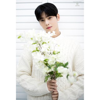 โปสเตอร์ รูปถ่าย บอยแบนด์ เกาหลี Astro 아스트로 Cha Eun-woo 이동민 (2016) POSTER 24"x35" Inch Korea Boy Band K-pop Groups