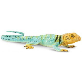 Safari Ltd. : SFR271029* โมเดลสัตว์ Collared Lizard