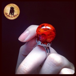 Queen rose ring by chocolate_save_theday