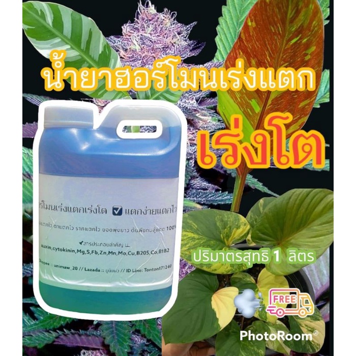 HOT ฮอร์โมนเร่งโตกันชา เสน่ห์จันทร์ ไม้ด่าง เร่งหน่อ เร่งใบ เร่งดอก ส่งฟรี