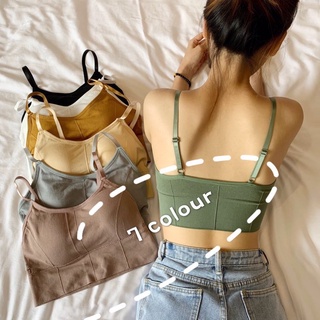 Basic Bra-เบสิคบรา 2022💐สปอร์ตบรา พร้อมส่ง 🌸 บรารุ่นฮิต บราปรับสายได้ 💓 บราสายเดี่ยว บราผ้าไนลอน บราฮิต บรายืดหยุ่น