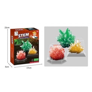 STEM crystal science