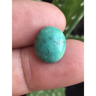 3.70 ct Turquoise เทอร์คอยส์ ดิบ สีเขียวน้ำทะเล