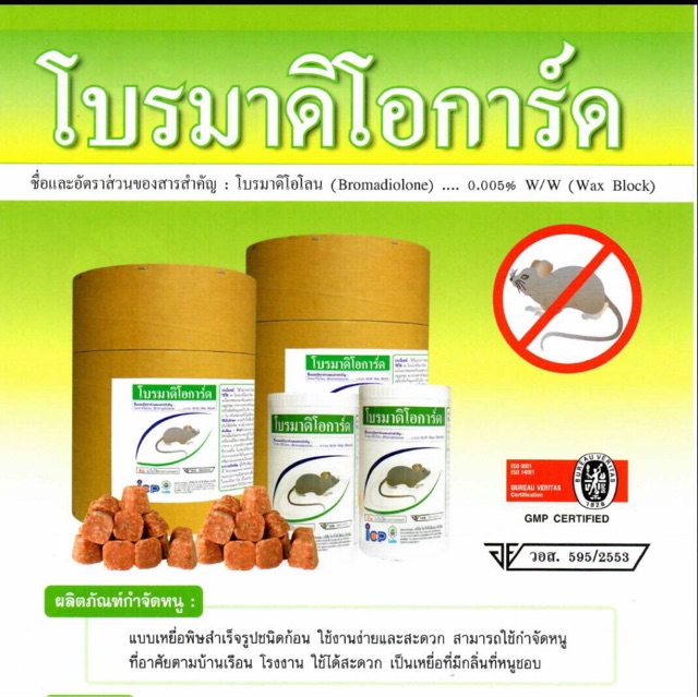 My Image 22
