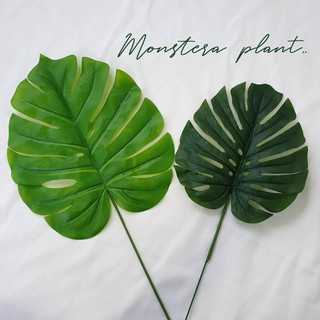 ใบไม้ปลอม Monstera ตกแต่งบ้าน พร๊อพถ่ายรูป