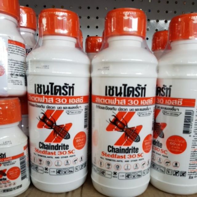 เชนไดรท์ กำจัดปลวก 1000Cc. ผสมน้ำได้60เท่า | Shopee Thailand